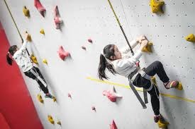 全球博彩市场的结构调整（全球博彩市场结构性变革）